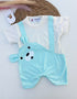 Playful Cub Cut & Sew Romper